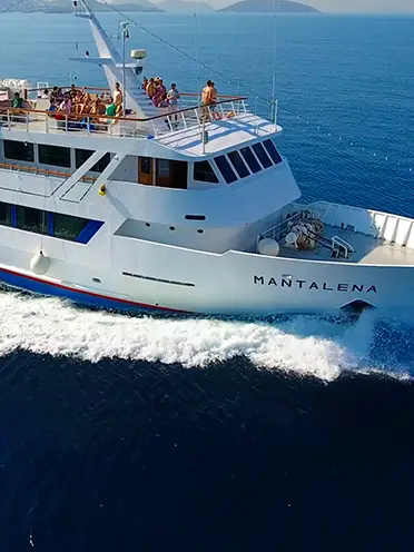 Cruises from Tolo Harbour