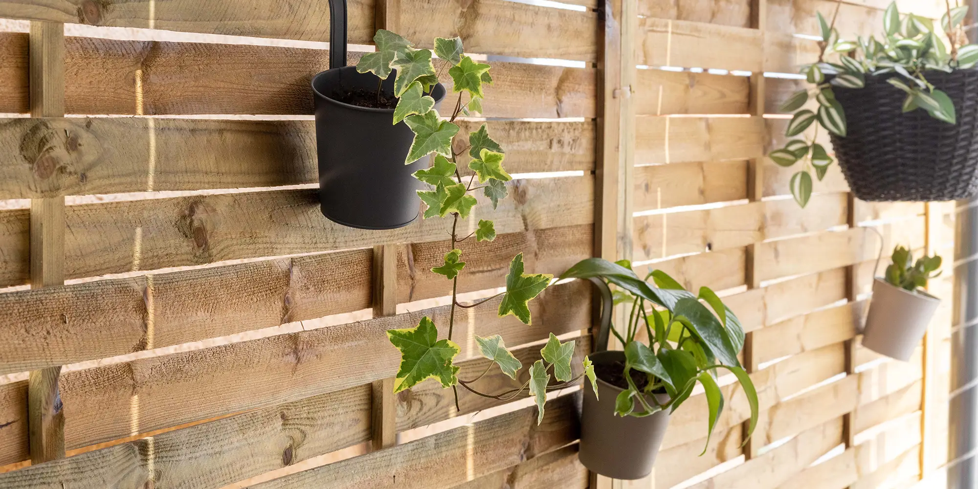 Iliana Apartments Tolo Photos