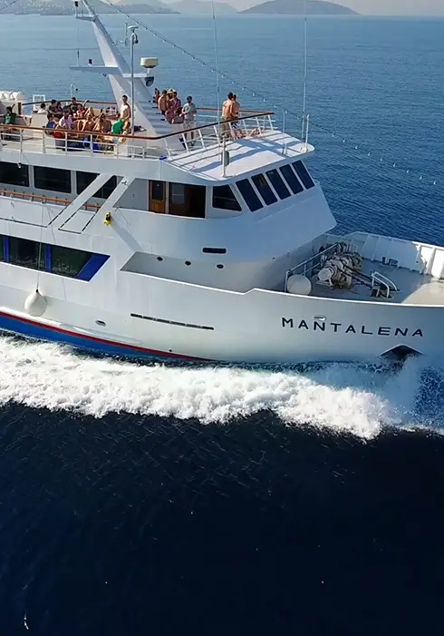 Tolon One day Cruises